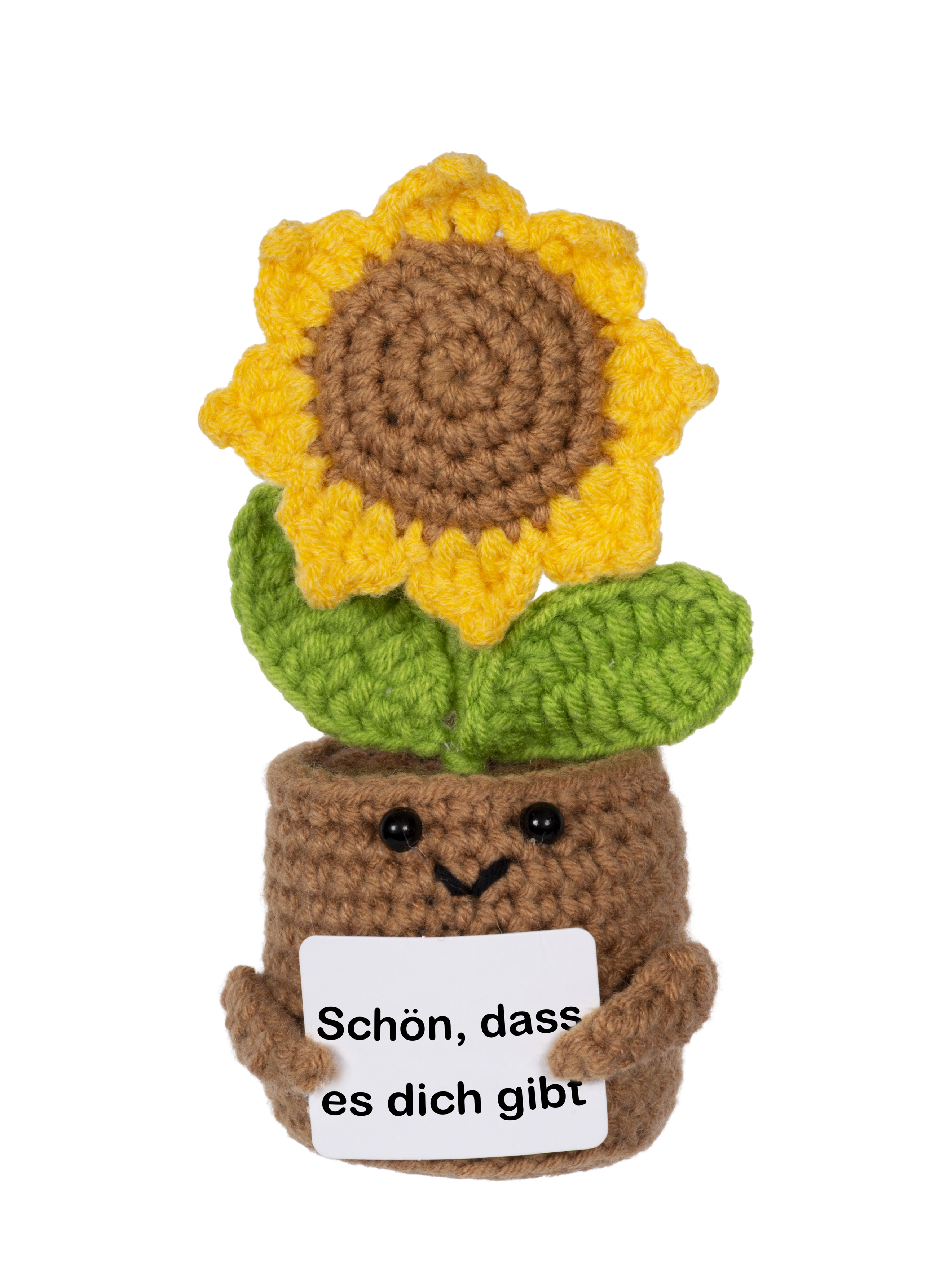 Positive Plants - Krokus gelb&pink/Kaktus/Sonnenblume/Blume Herz/Nelke/Biene - Zufallsauswahl Positive Plants - Krokus gelb&pink/Kaktus/Sonnenblume/Blume Herz/Nelke/Biene - Zufallsauswahl