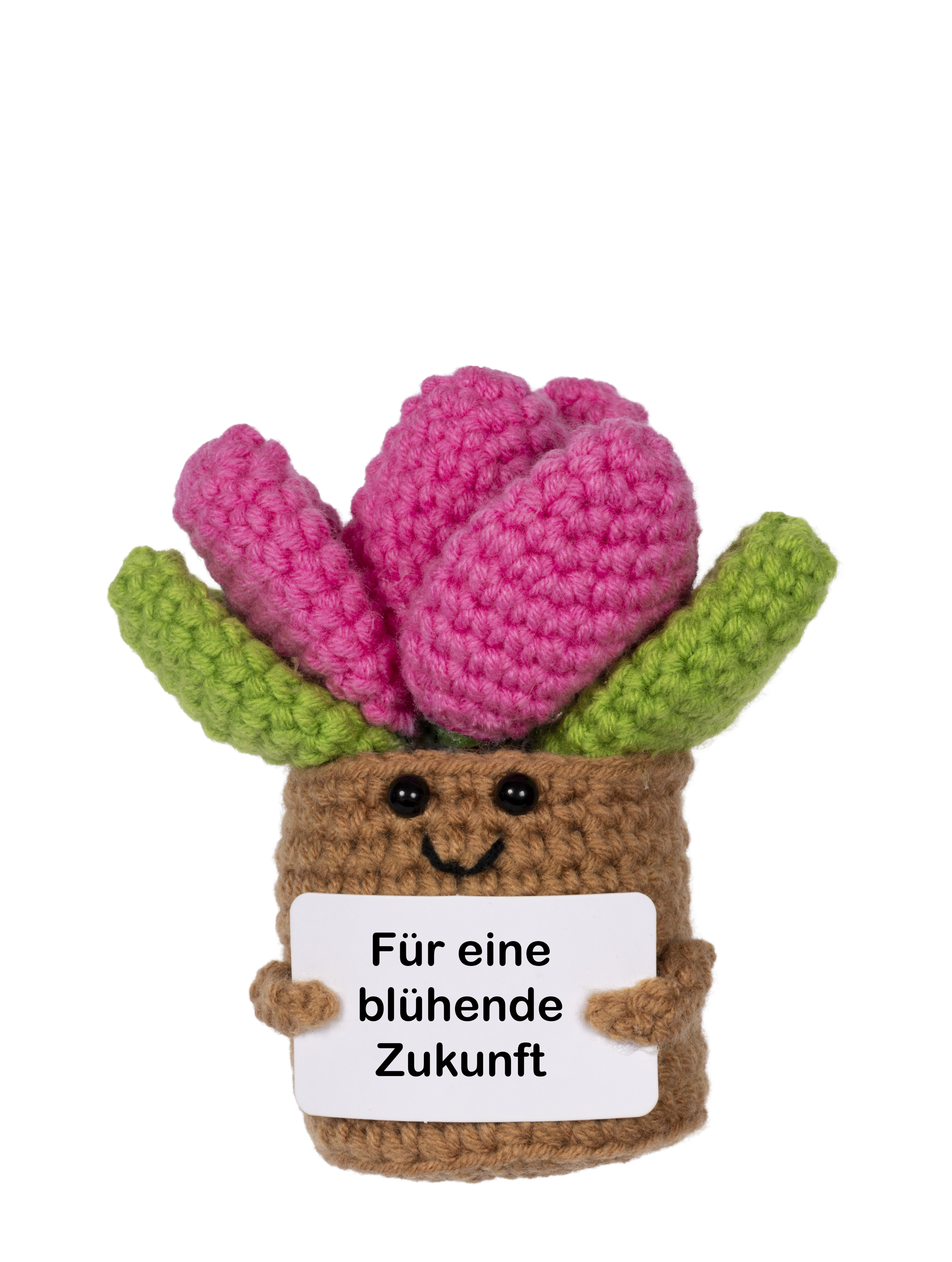 Positive Plants - Krokus gelb&pink/Kaktus/Sonnenblume/Blume Herz/Nelke/Biene - Zufallsauswahl Positive Plants - Krokus gelb&pink/Kaktus/Sonnenblume/Blume Herz/Nelke/Biene - Zufallsauswahl