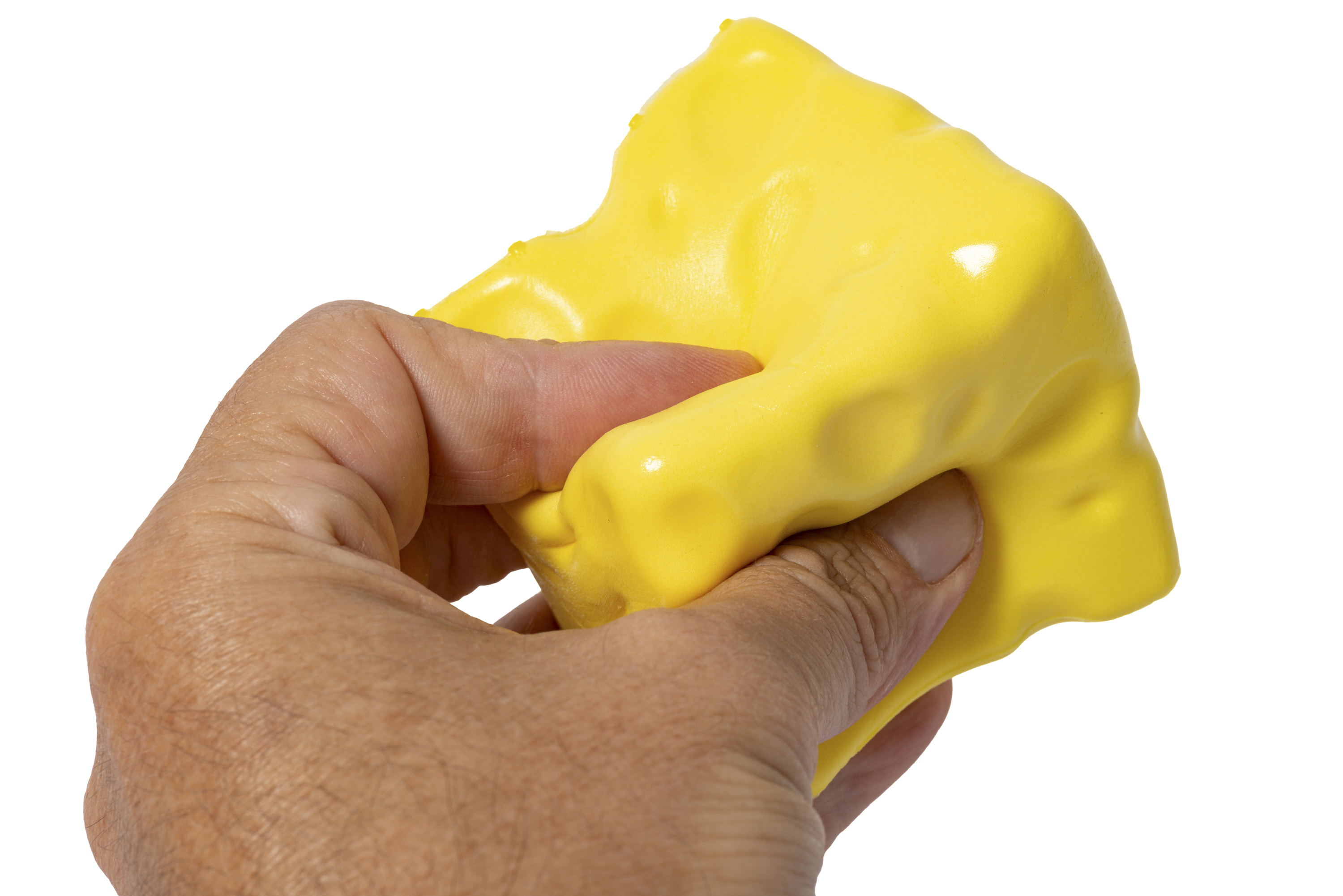Cheese Squishy