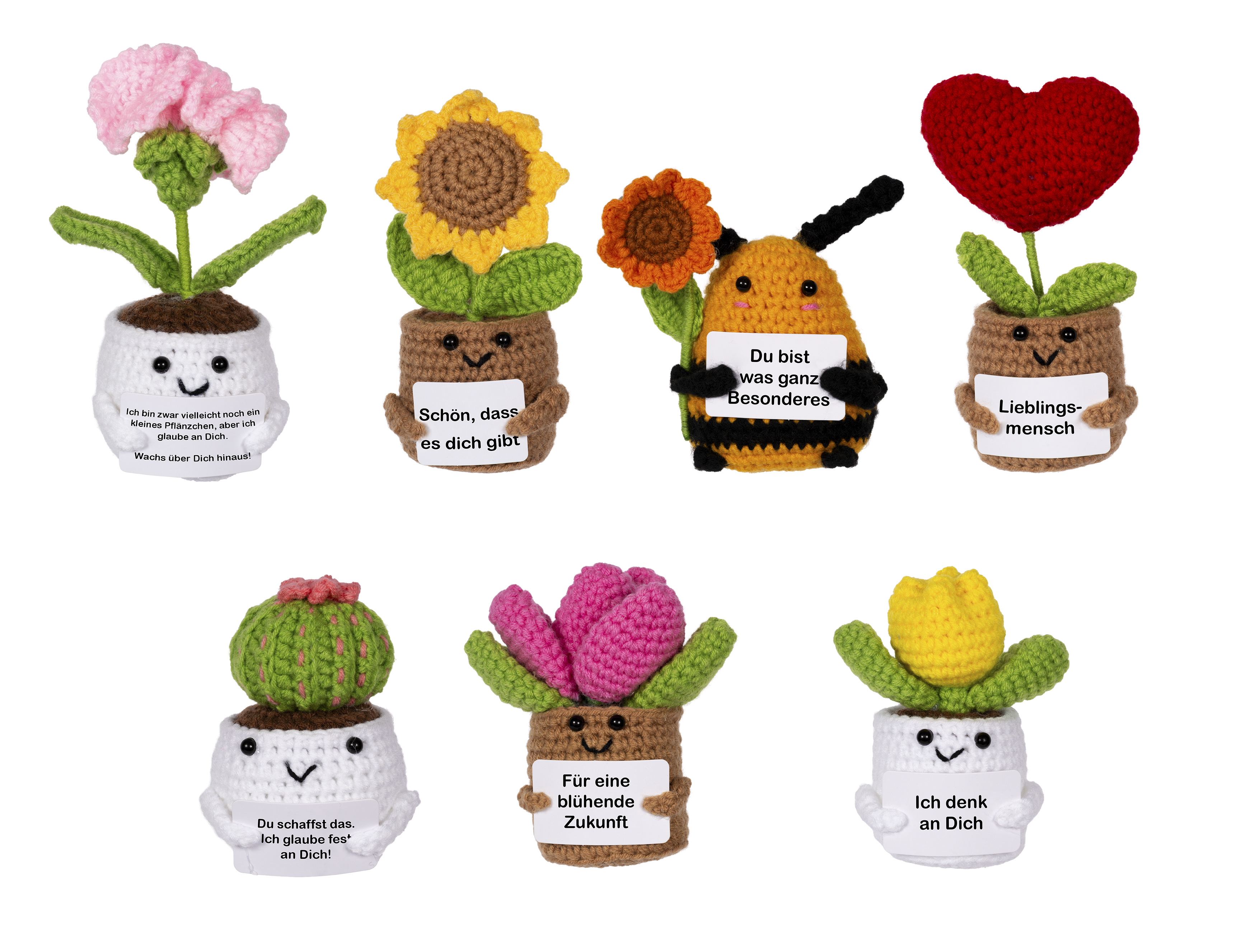 Positive Plants - Krokus gelb&pink/Kaktus/Sonnenblume/Blume Herz/Nelke/Biene - Zufallsauswahl
