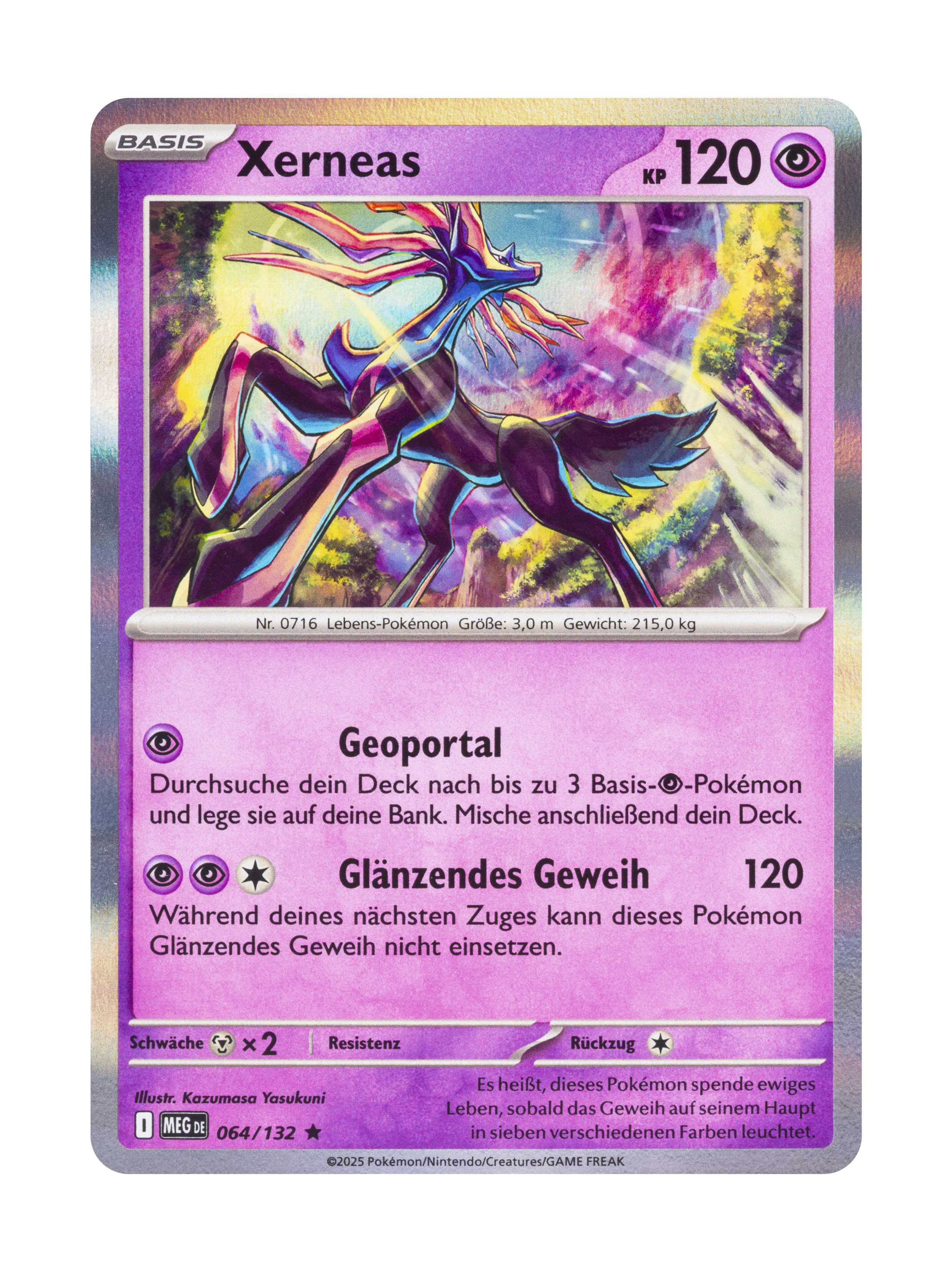 Pokémon Holo Karte