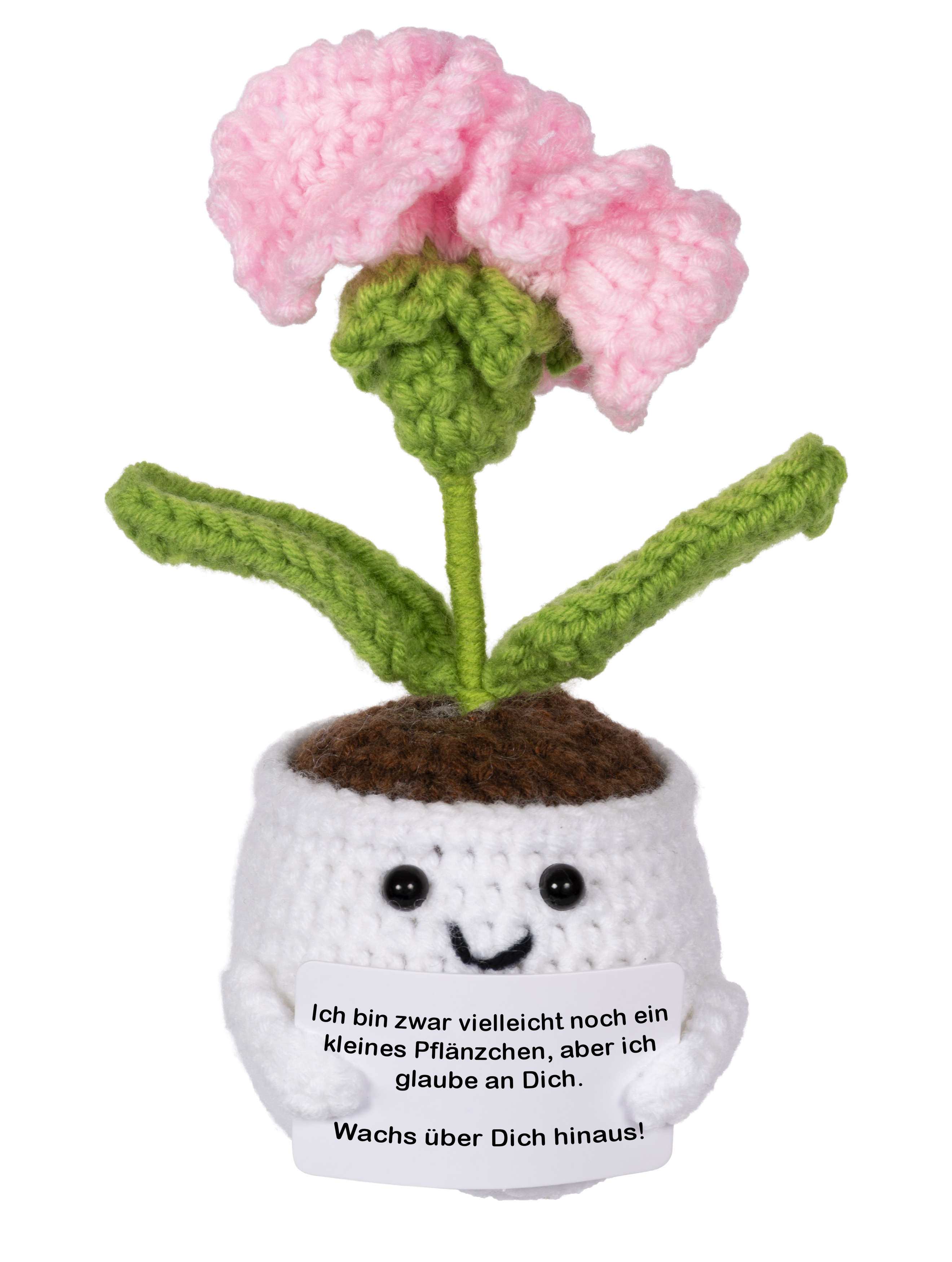 Positive Plants - Krokus gelb&pink/Kaktus/Sonnenblume/Blume Herz/Nelke/Biene - Zufallsauswahl Positive Plants - Krokus gelb&pink/Kaktus/Sonnenblume/Blume Herz/Nelke/Biene - Zufallsauswahl