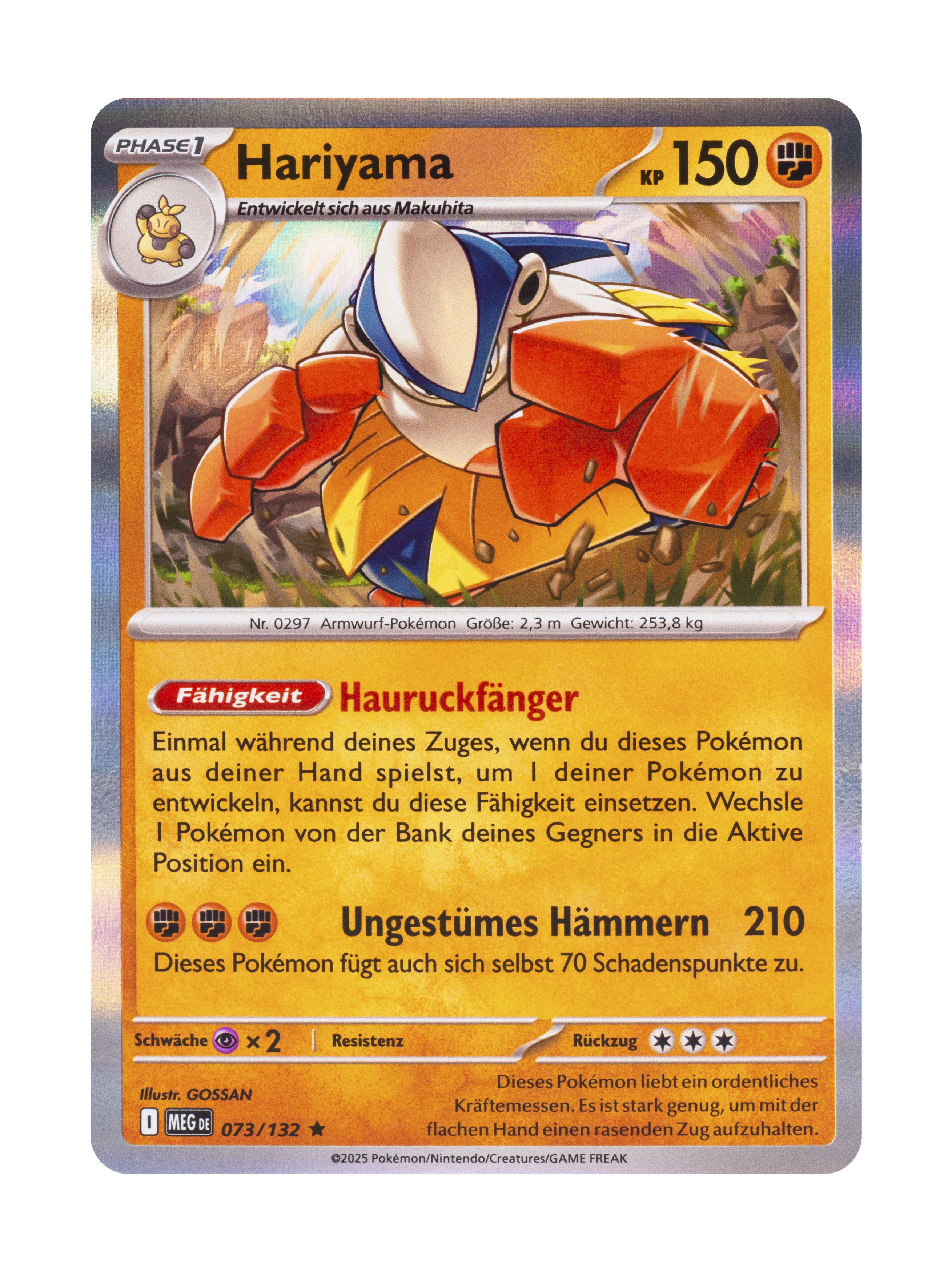 Pokémon Holo Karte
