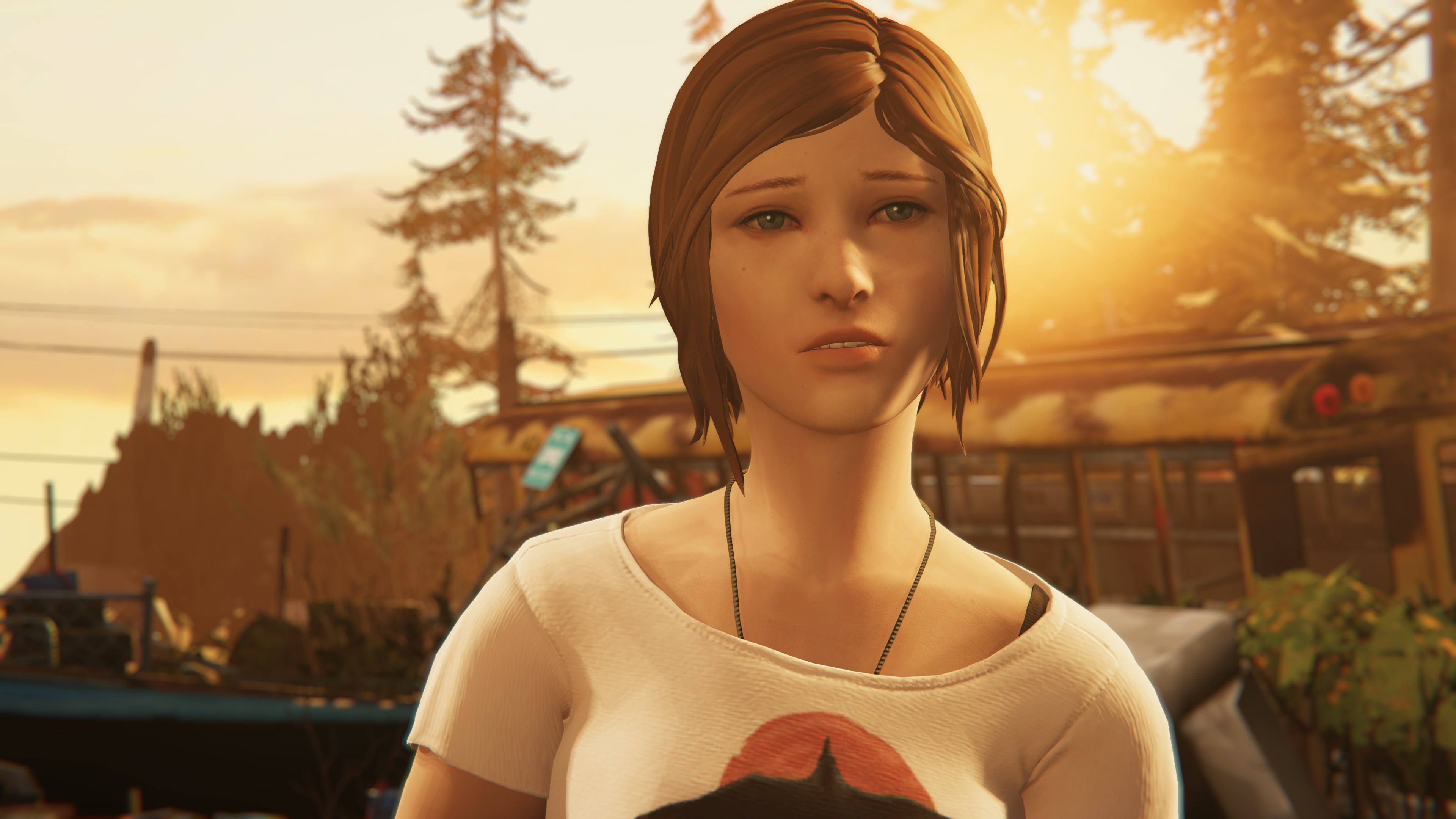 Life is Strange Arcadia Bay Collection