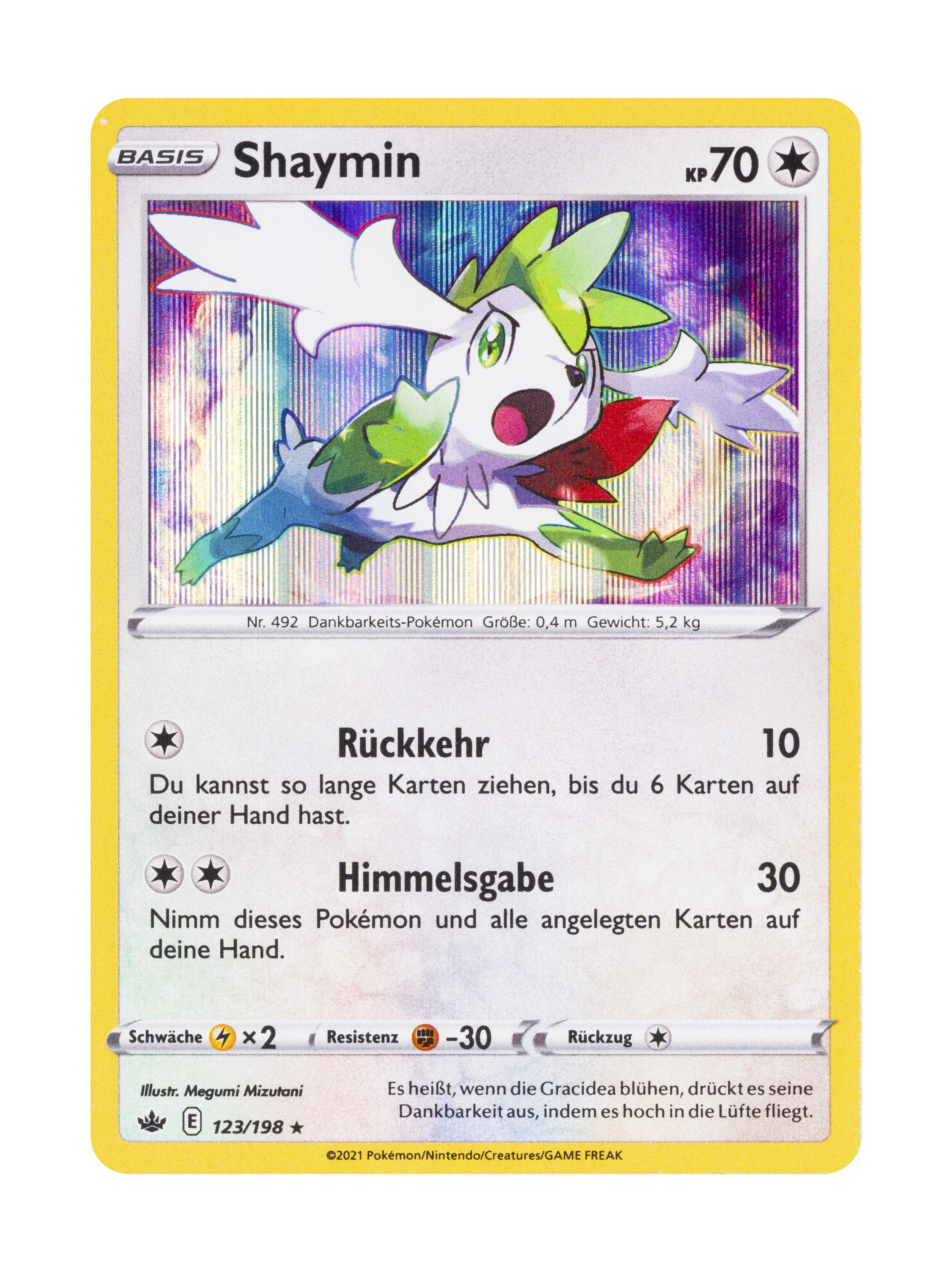 Pokémon Holo Karte