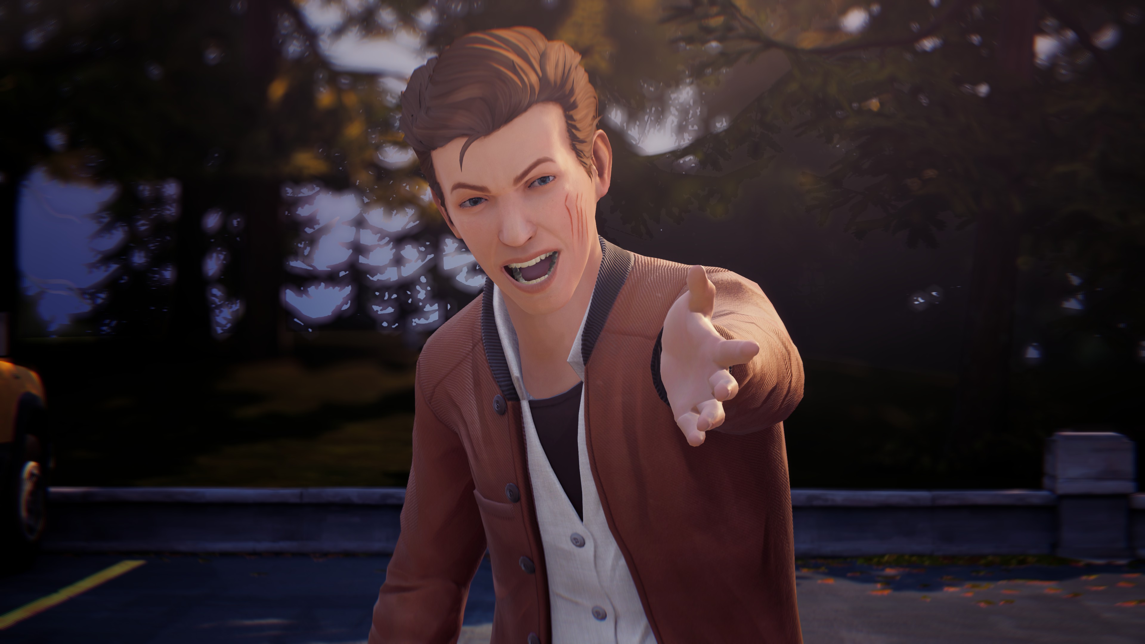 Life is Strange Arcadia Bay Collection